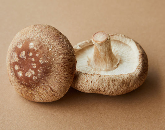 shitake mushrooms often used for beta glucan in korean skincare